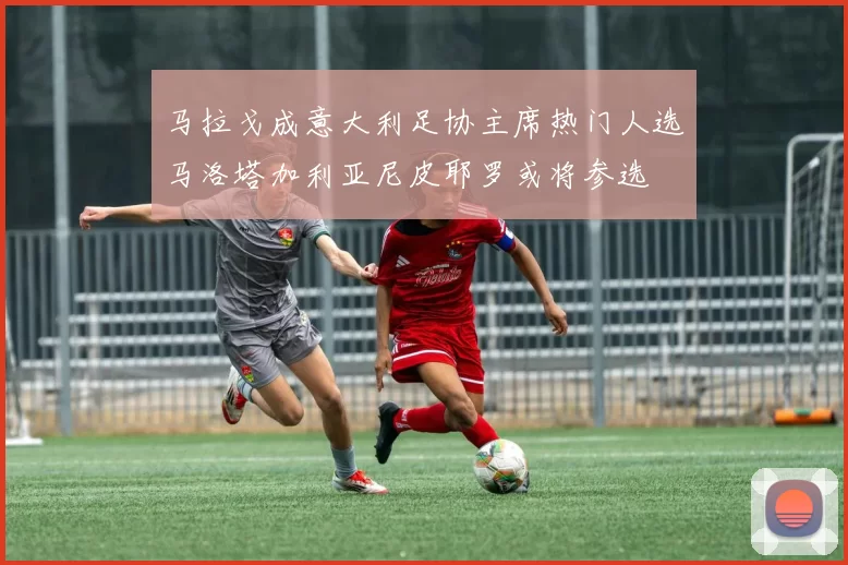 马拉戈成意大利足协主席热门人选马洛塔加利亚尼皮耶罗或将参选