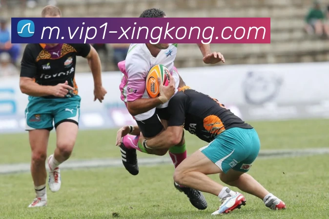 数据防护可视化